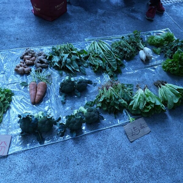 Carottes
