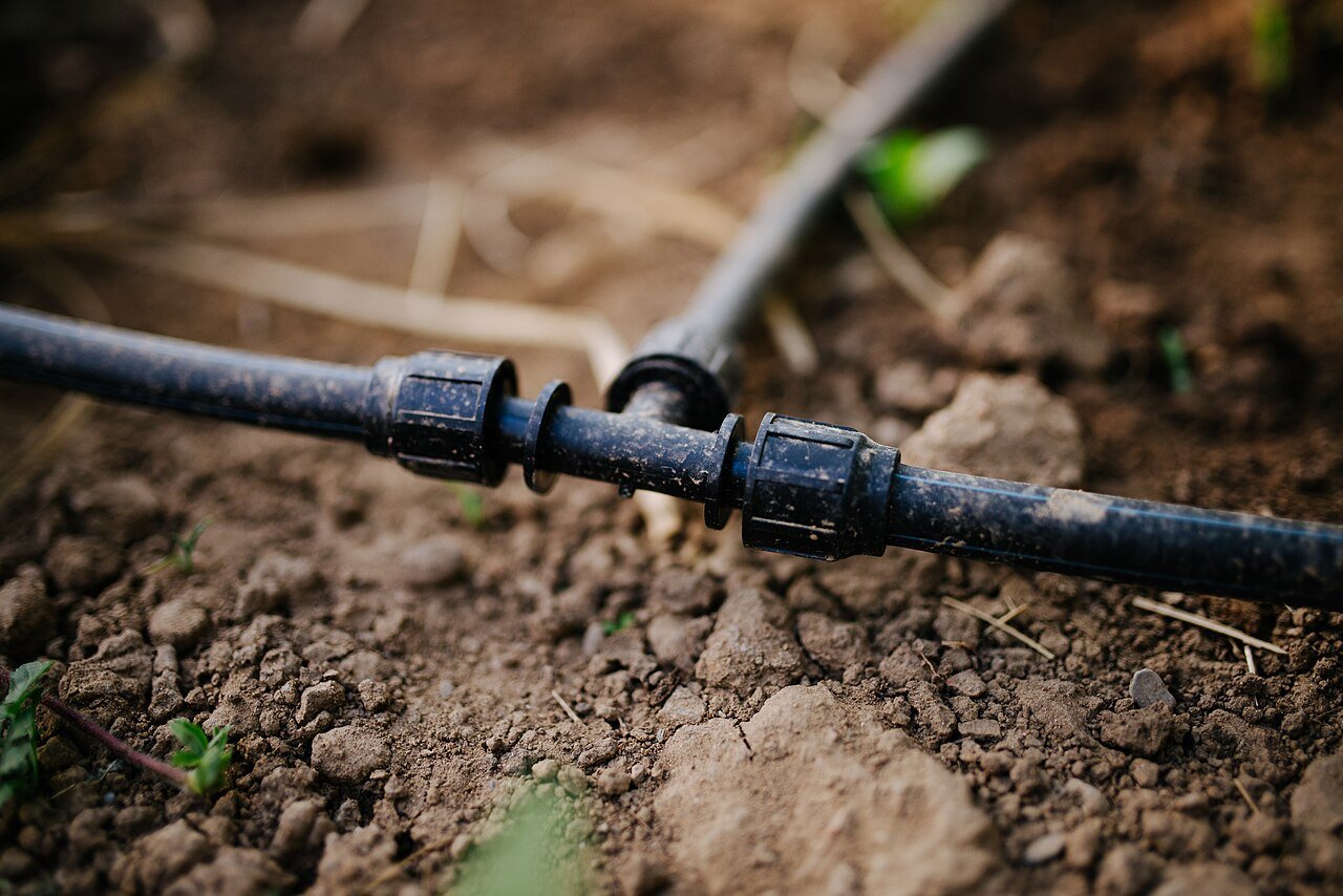 Irrigation goutte-à-goutte