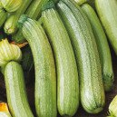 Courgette