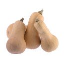 Courge