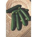 Courgette