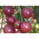 Tomate
