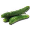 Concombre