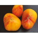 Tomate Hawaiian Pineaple