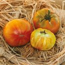 Tomate Ananas